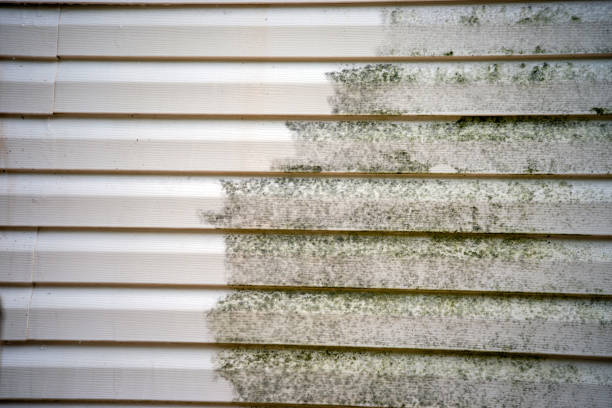 Best Siding for Multi-Family Homes  in Raeford, NC