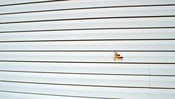 Best Weatherproofing and Sealing  in Raeford, NC